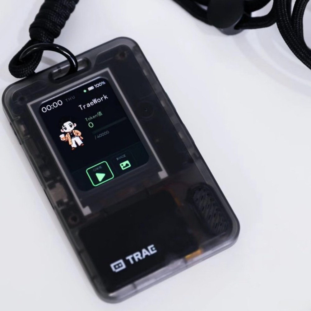 FoloToy AI PASSPORT Электронны – обзор и цена Speaker Kit